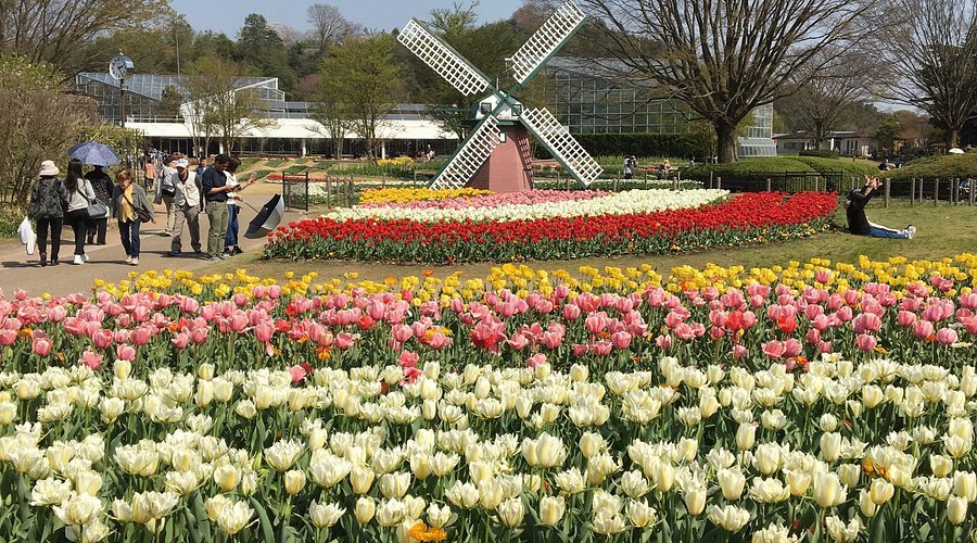 🌳 미사키초 공원 (미사키초 코엔) 이미지 6